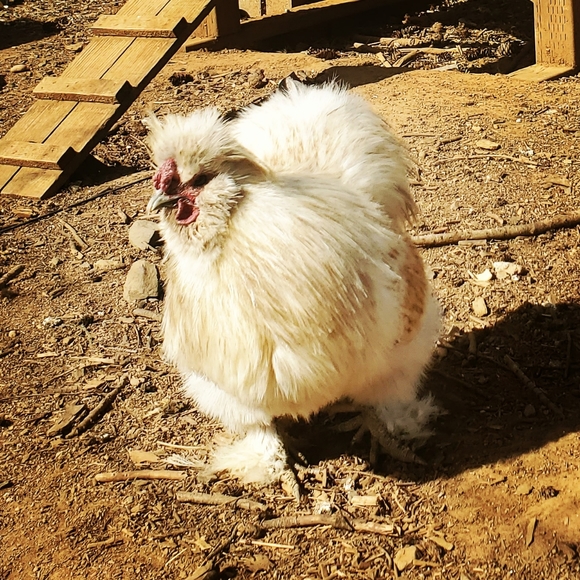 Y2K Arizona Jean Company Crop Sweater Fuzzy Acrylic Hearts XS Turquoise Teal 90s - Picture 8 of 8